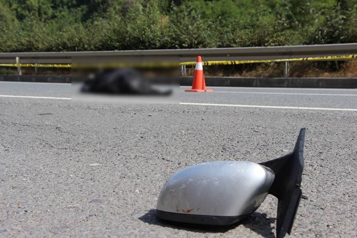 Trabzon'da Feci kaza! Yoldan karşıya geçmek isterken canından oldu 4